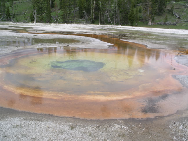 images/D- Chromatic Geyser.jpg